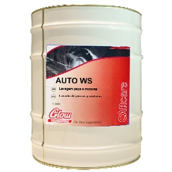 5600349485251-AUTO WS - 20L - Desengord. Lavagem a Frio Peças e Motores